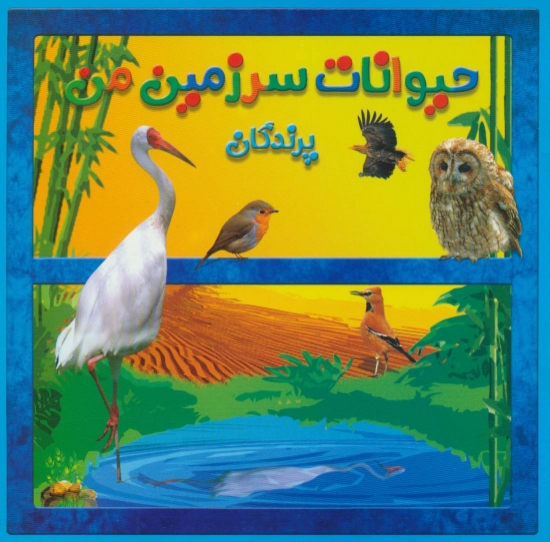 تصویر  حیوانات سرزمین من (پرندگان)،(گلاسه)